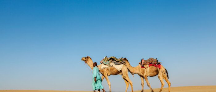 RAJASTHAN